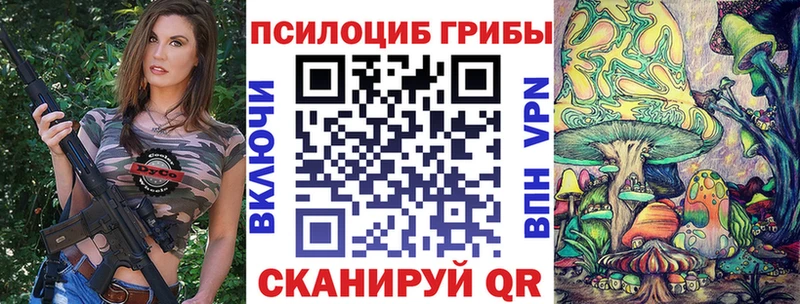 блэк спрут ссылка  Харабали  Галлюциногенные грибы Psilocybine cubensis 
